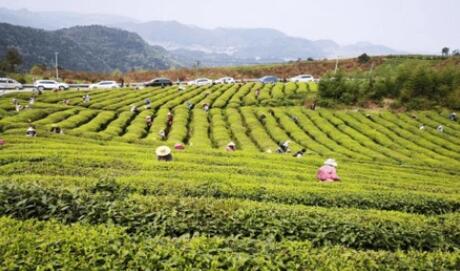 建议先扫读标题与摘要