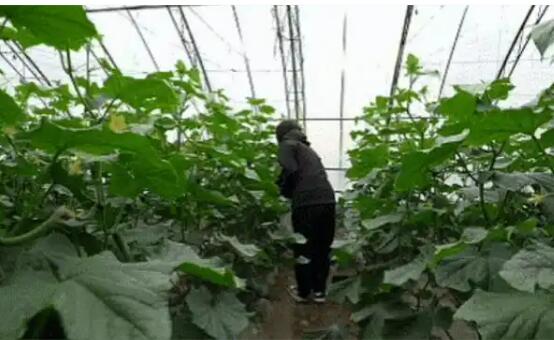 可先确认当前栏目名称