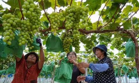 可回到列表或查看相邻条目