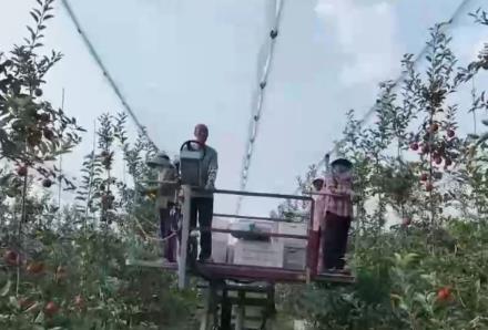 牛宝体育登录